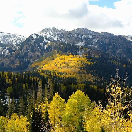 Cottonwood Heights - Lower Level Of Mountain Home! ภายนอก รูปภาพ