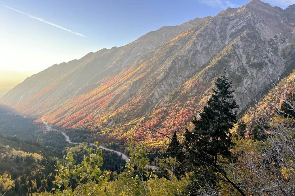 Cottonwood Heights - Lower Level Of Mountain Home! ภายนอก รูปภาพ