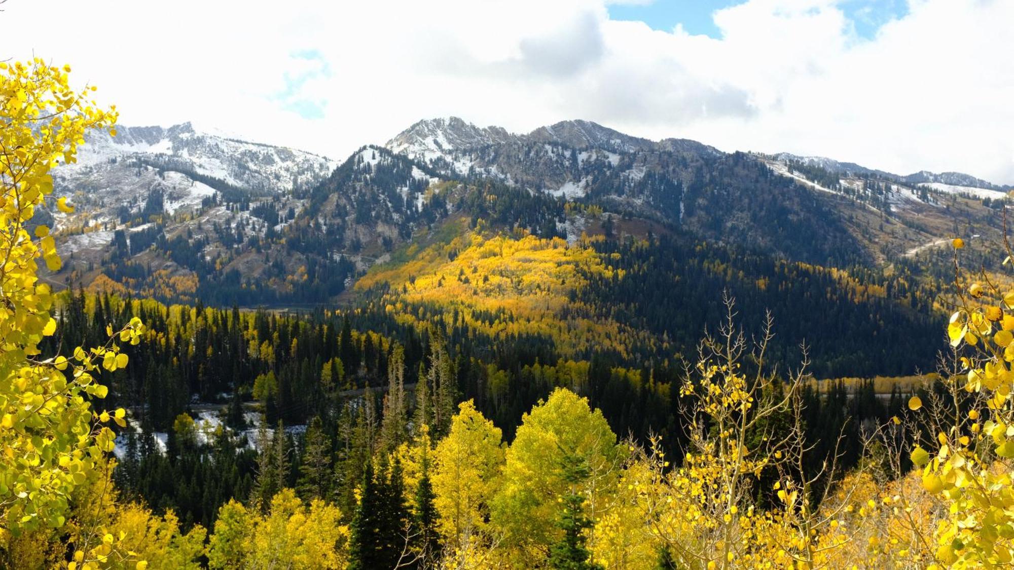 Cottonwood Heights - Lower Level Of Mountain Home! ภายนอก รูปภาพ